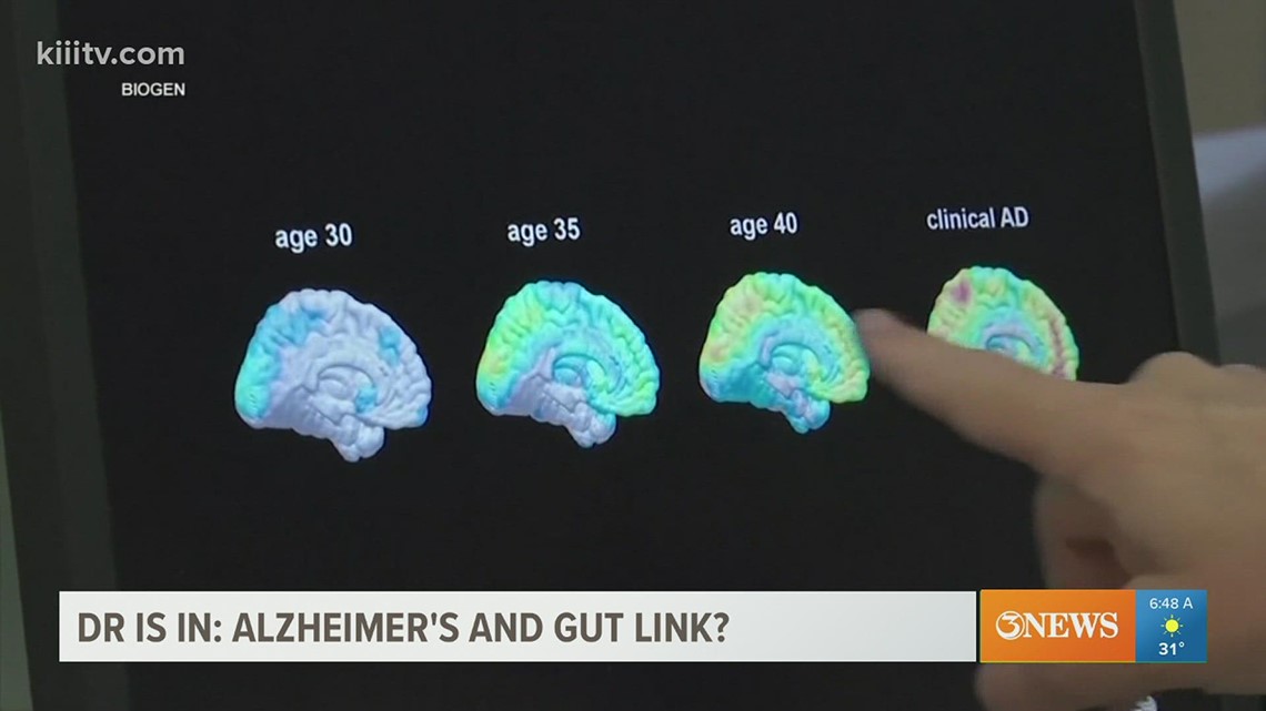 Alzheimer's disease and gut health