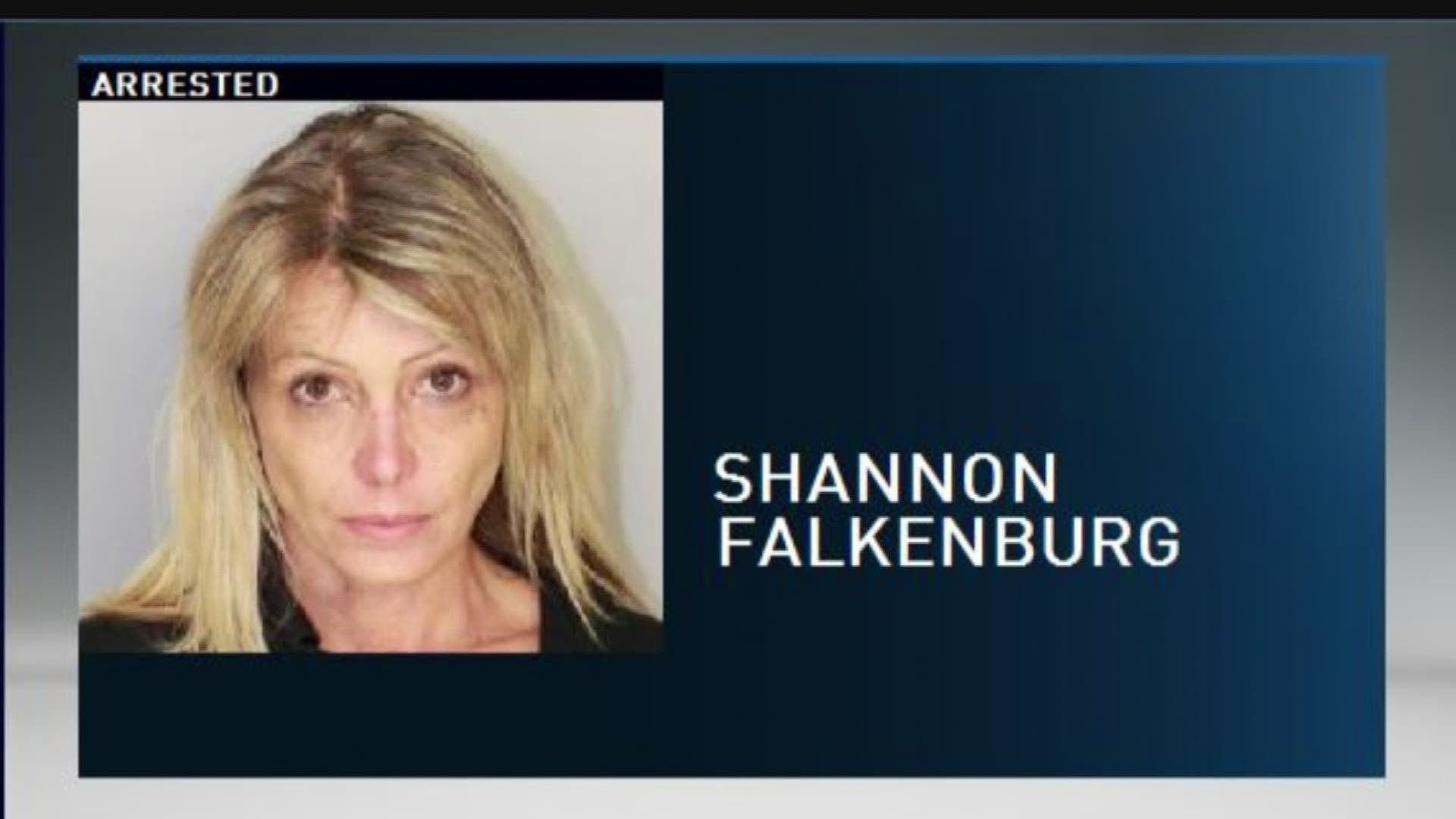 Woman arrested for DWI after driving wrong way on Harbor Bridge ...