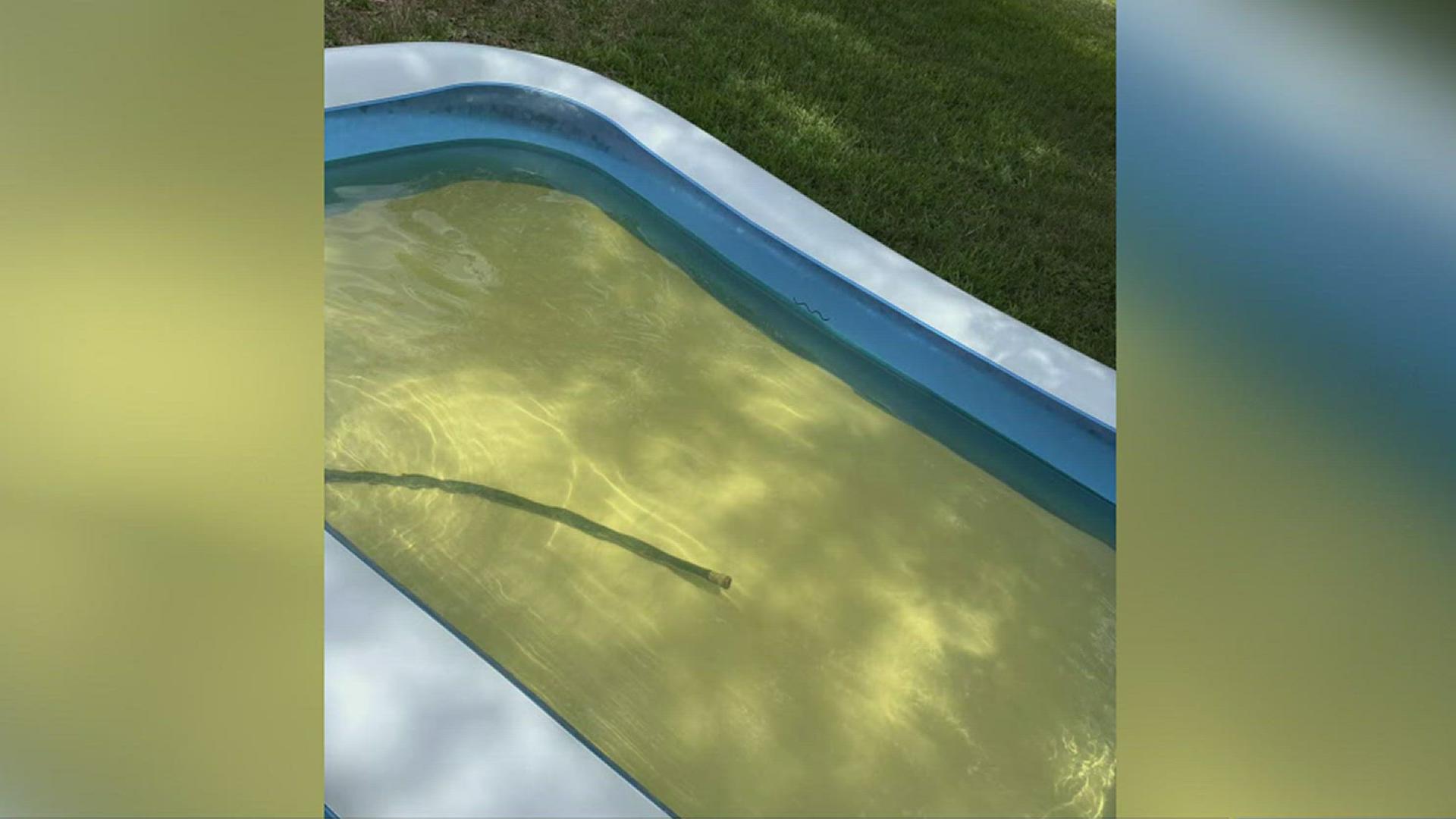 City of Beeville officials told 3NEWS the discoloration is caused by "lake organics" like algae and leaves which were stirred up by recent rain.