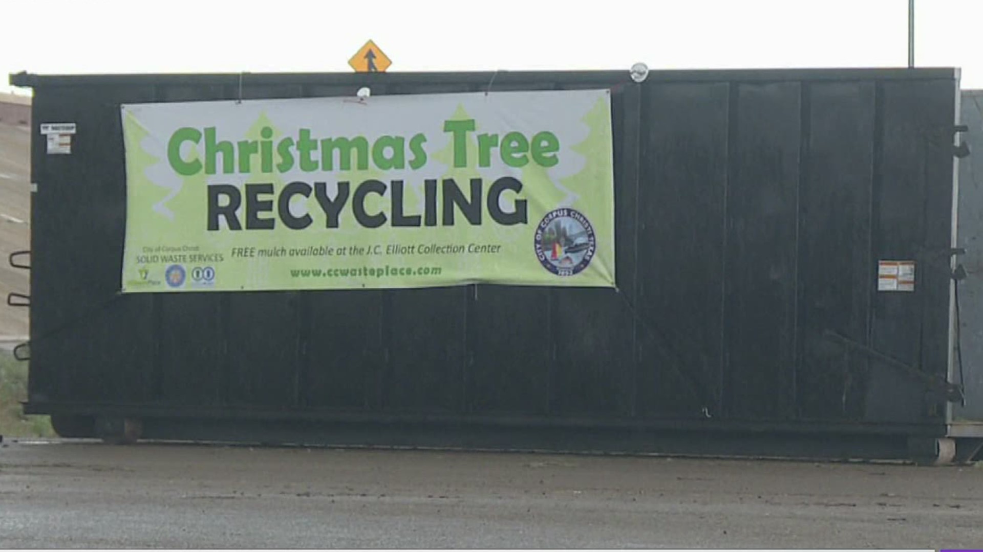 The city's solid waste department is asking folks to set out their Christmas trees during your area's scheduled brush pickup times.