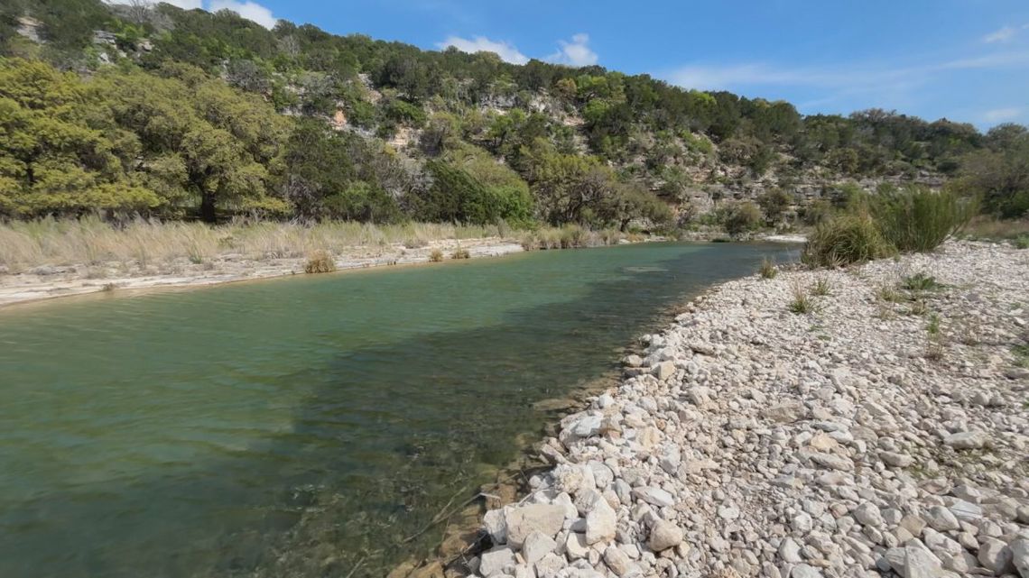 Nueces River Authority eyes brush clearing to boost water flow, but experts urge caution