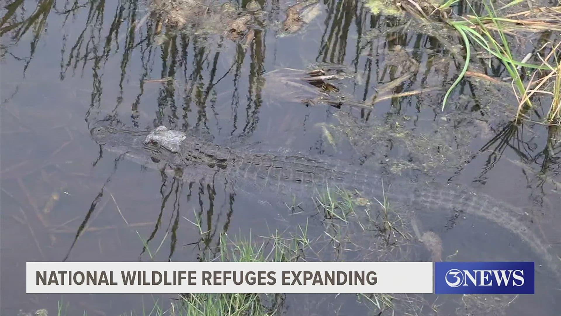 The Department of the Interior announced Tuesday the expansion of four existing national wildlife refuge locations to help conserve habitats and protect species.