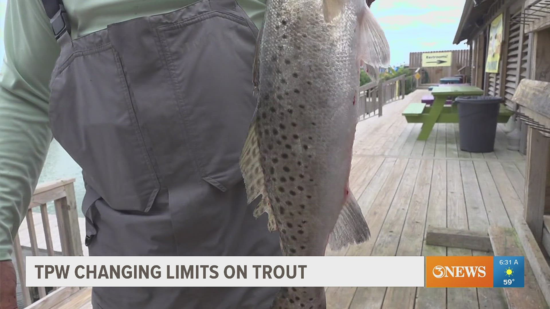 New Texas Parks and Wildlife spotted seatrout regulations will mean anglers can only keep three fish that are between 15 and 20 inches.
