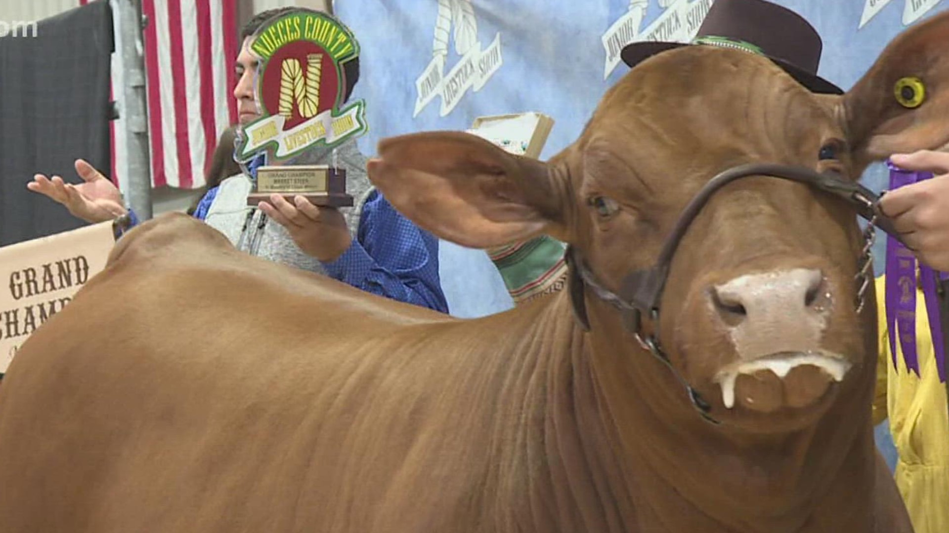 Brandon Schaff reports from the Nueces County Junior Livestock Show with the final day of the festivities.