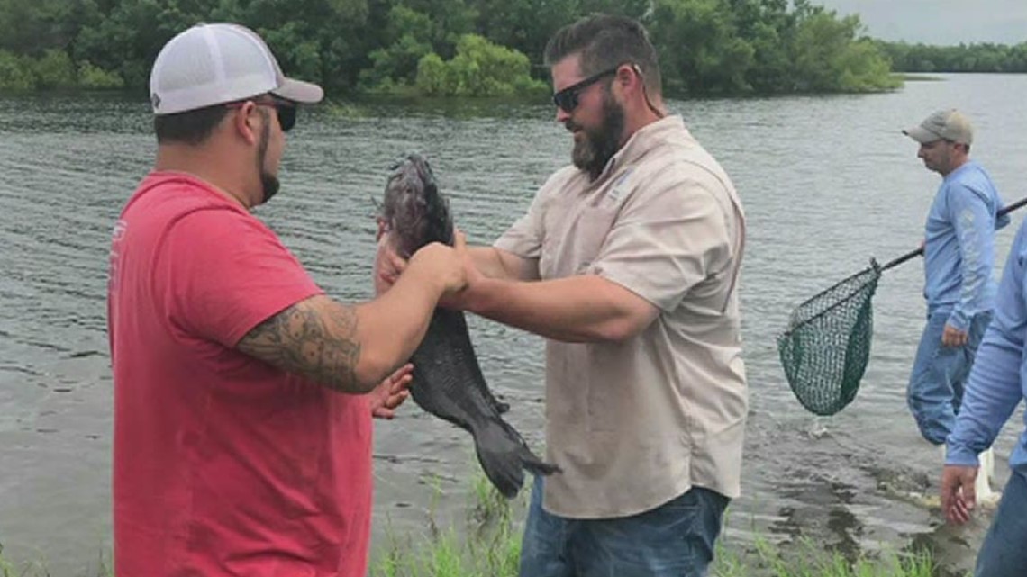 Catfish gets put into Lake Findley