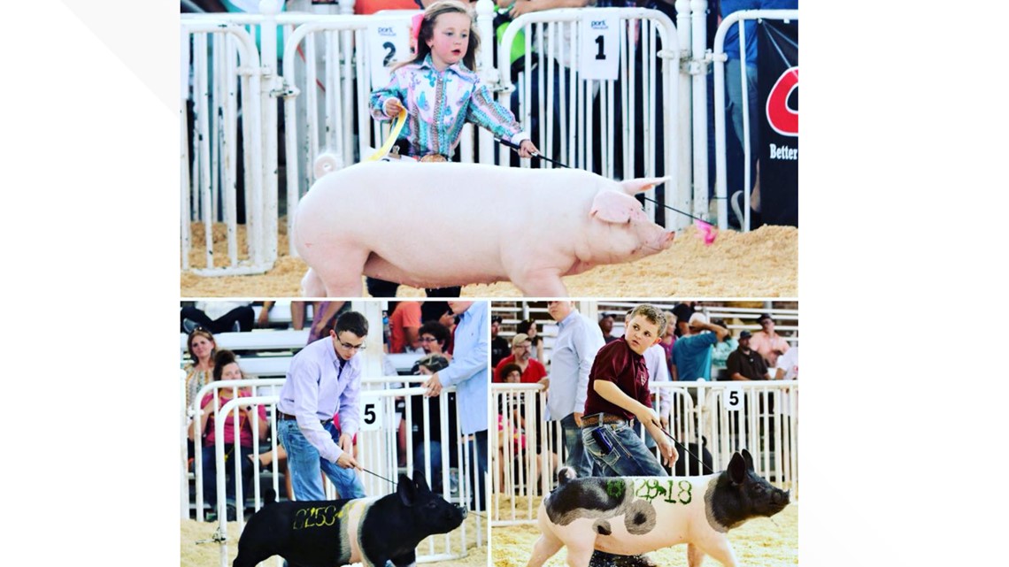 Sharing the Livestock Show tradition