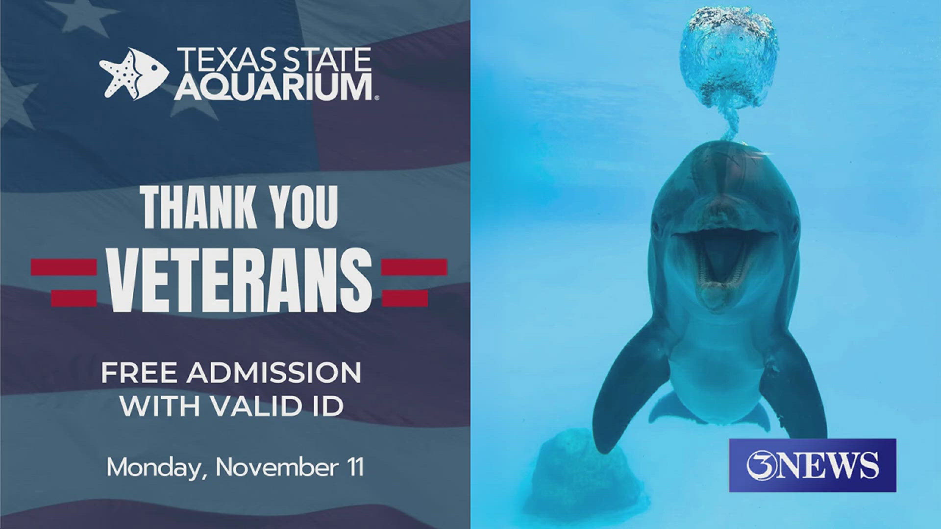 It's the aquarium's way of giving local veterans a heartfelt 'thank you' for their service. All you need is a valid ID to get in! 