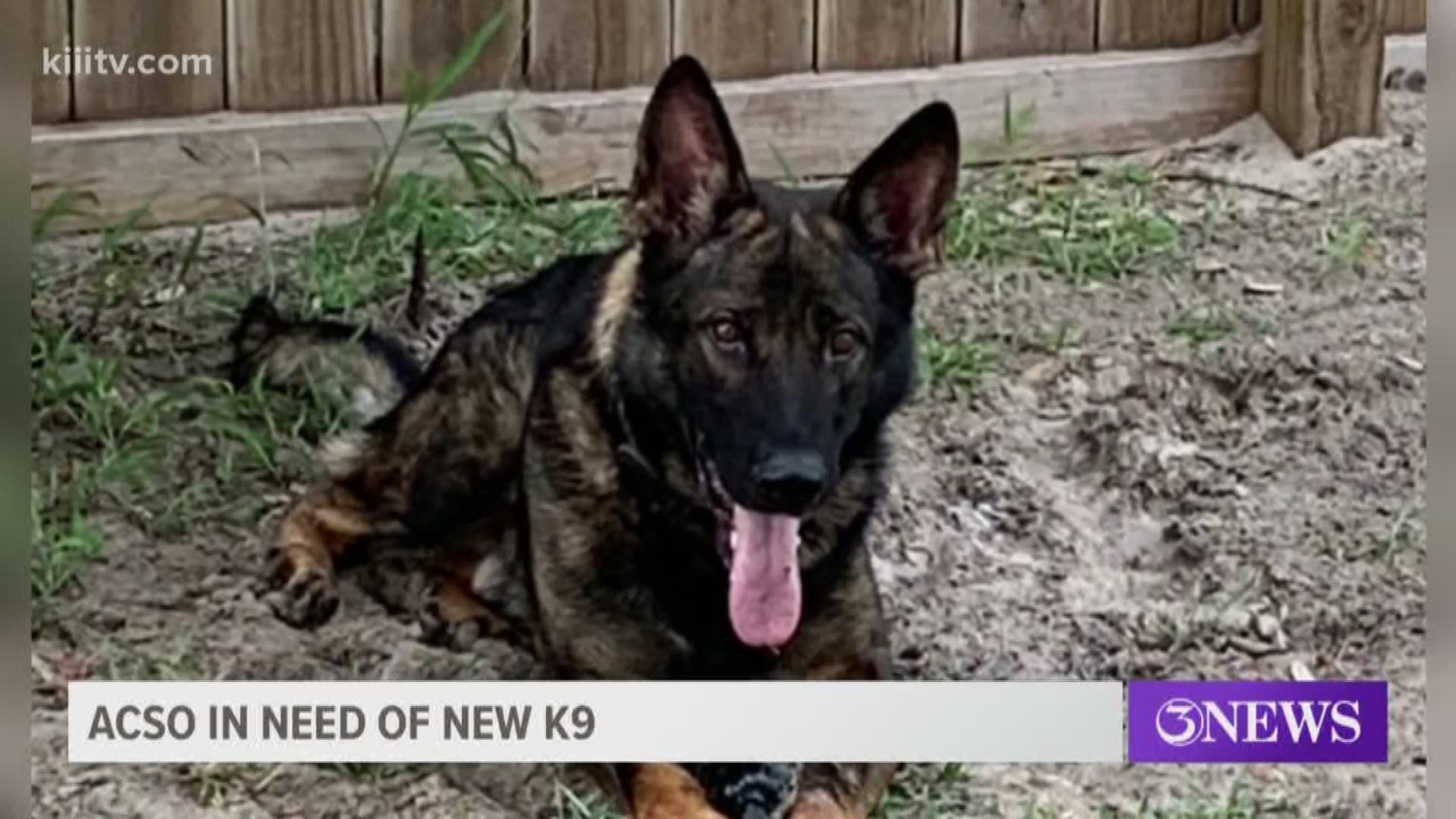 Aransas County officials say they are deeply saddened by the loss of their beloved K9, Kilo. The loss leaves a deep, emotional, and literal hole.