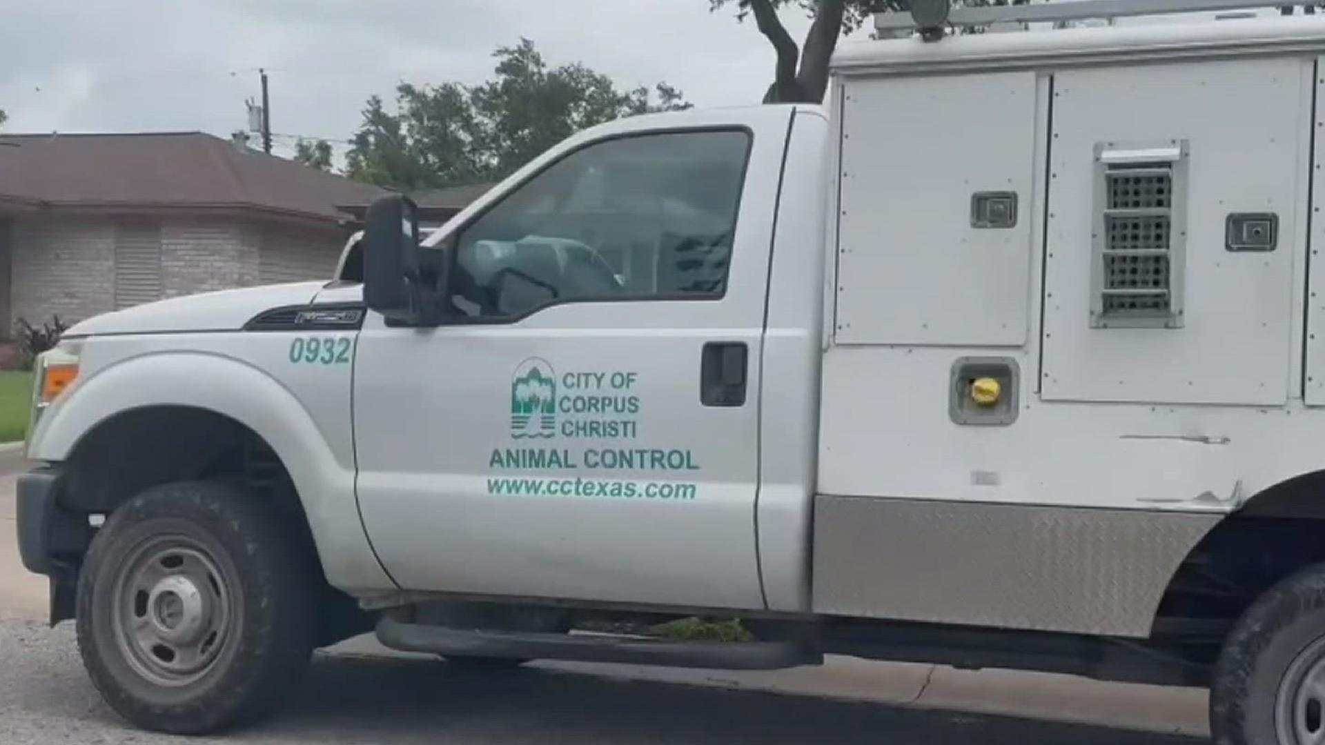 "I got a license to carry so I always carry," Chapman said. "I don't carry for the purpose of dogs, I carry for the purpose of safety. Today it worked for safety."