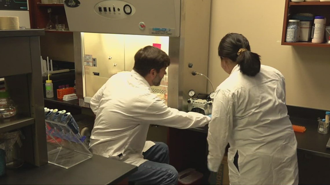 A&M-K professor gets grant for COVID-19 research in animals - Vimarsana News