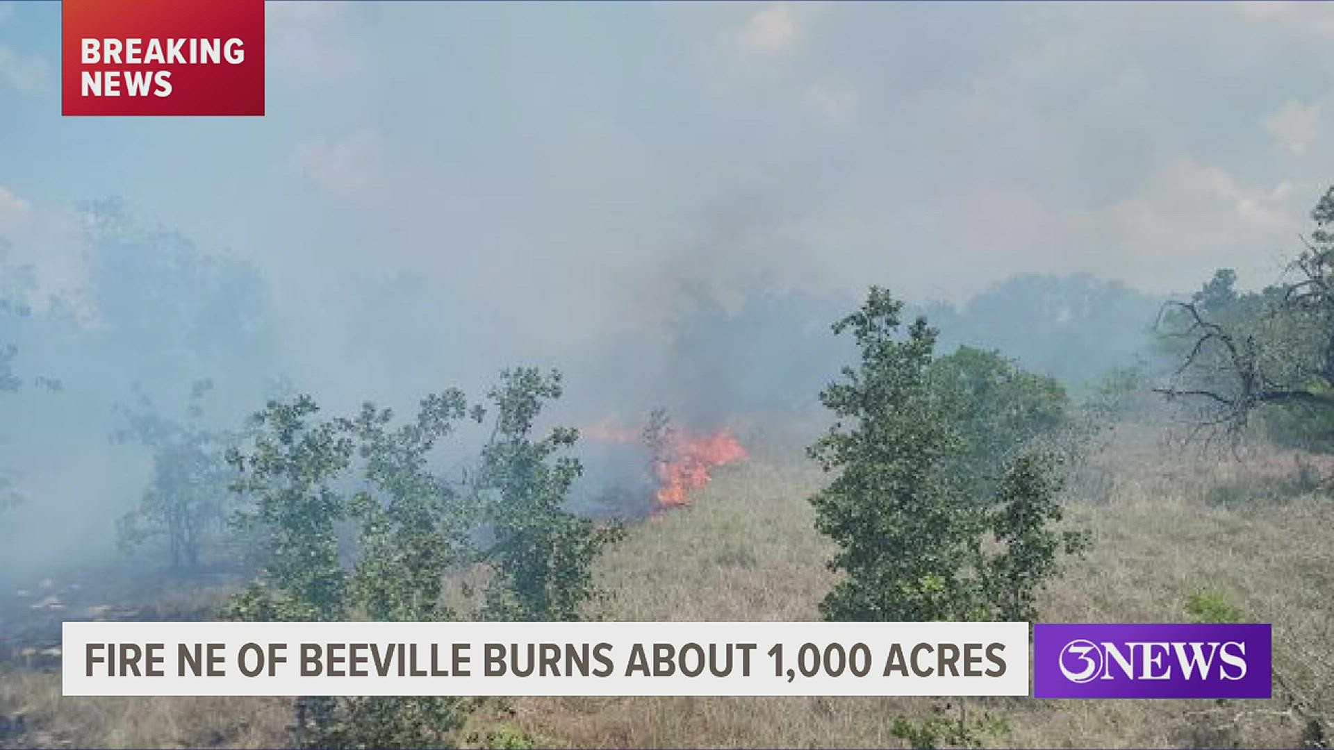 The Texas A&M Forest Service is calling this the Sarco fire, which has burned over a thousand acres so far.