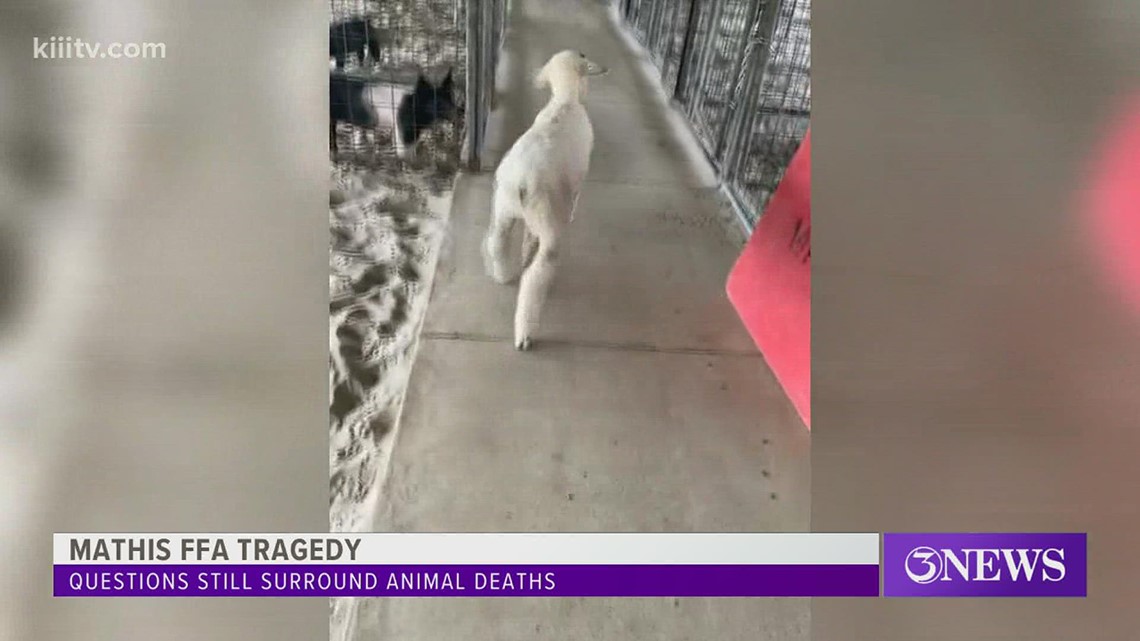 Texas man confesses to killing livestock - Vimarsana News