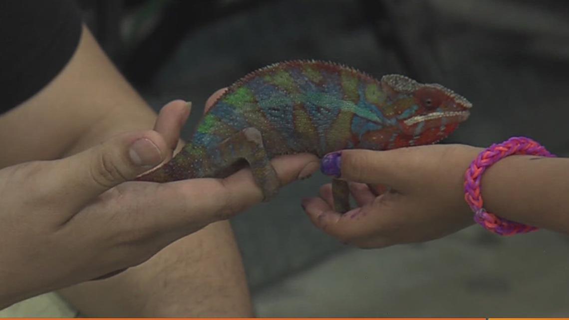 ba307e63-fe74-433c-a9b3-