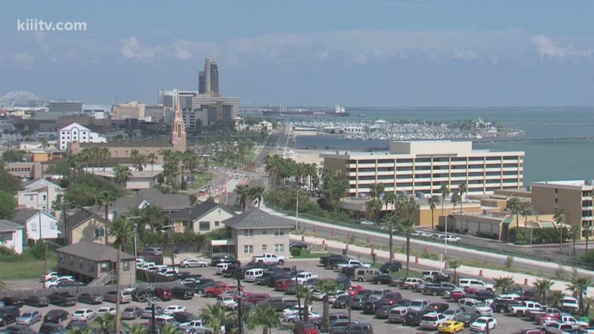 Corpus Christi city council members received results Tuesday of a community survey put together by Texas A&M University-Corpus Christi.