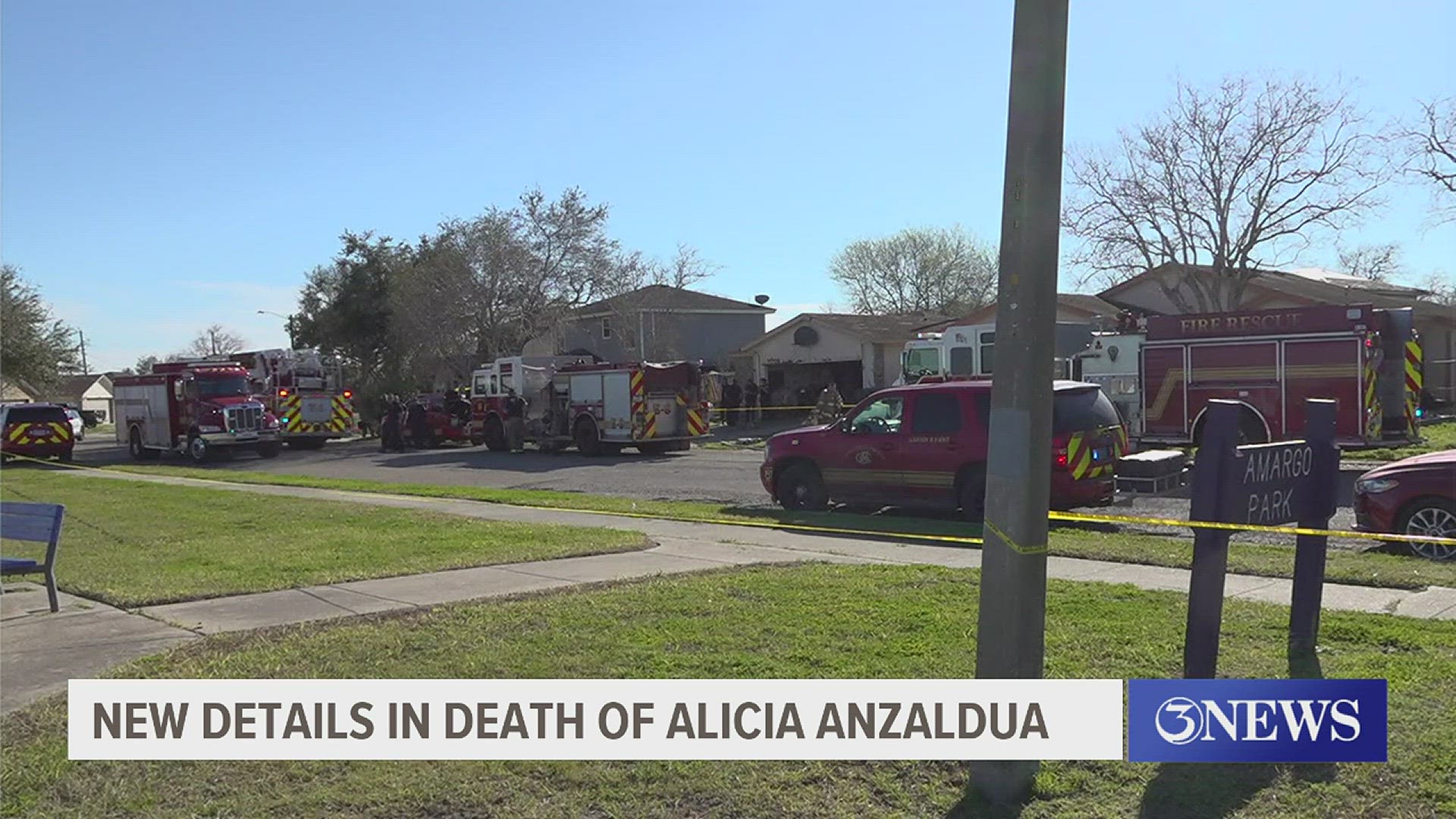 According to the affidavit, firefighters found that fires had been started in multiple rooms of the house, including the living room, kitchen and garage.