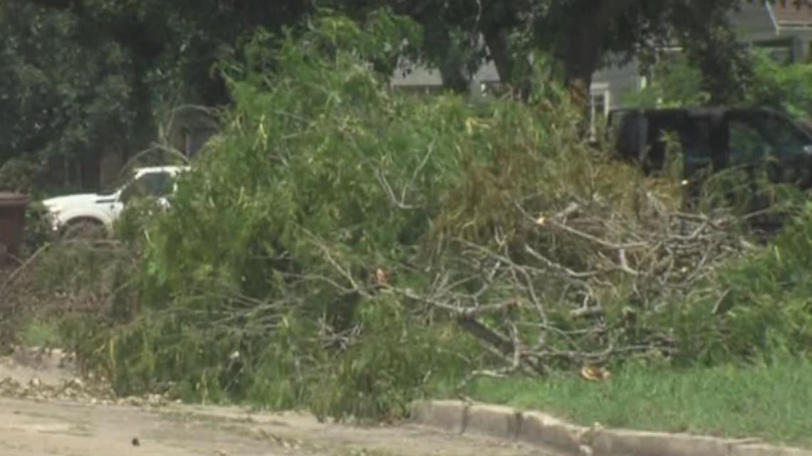 City of Corpus Christi to begin brush, debris pick up on Monday, August ...