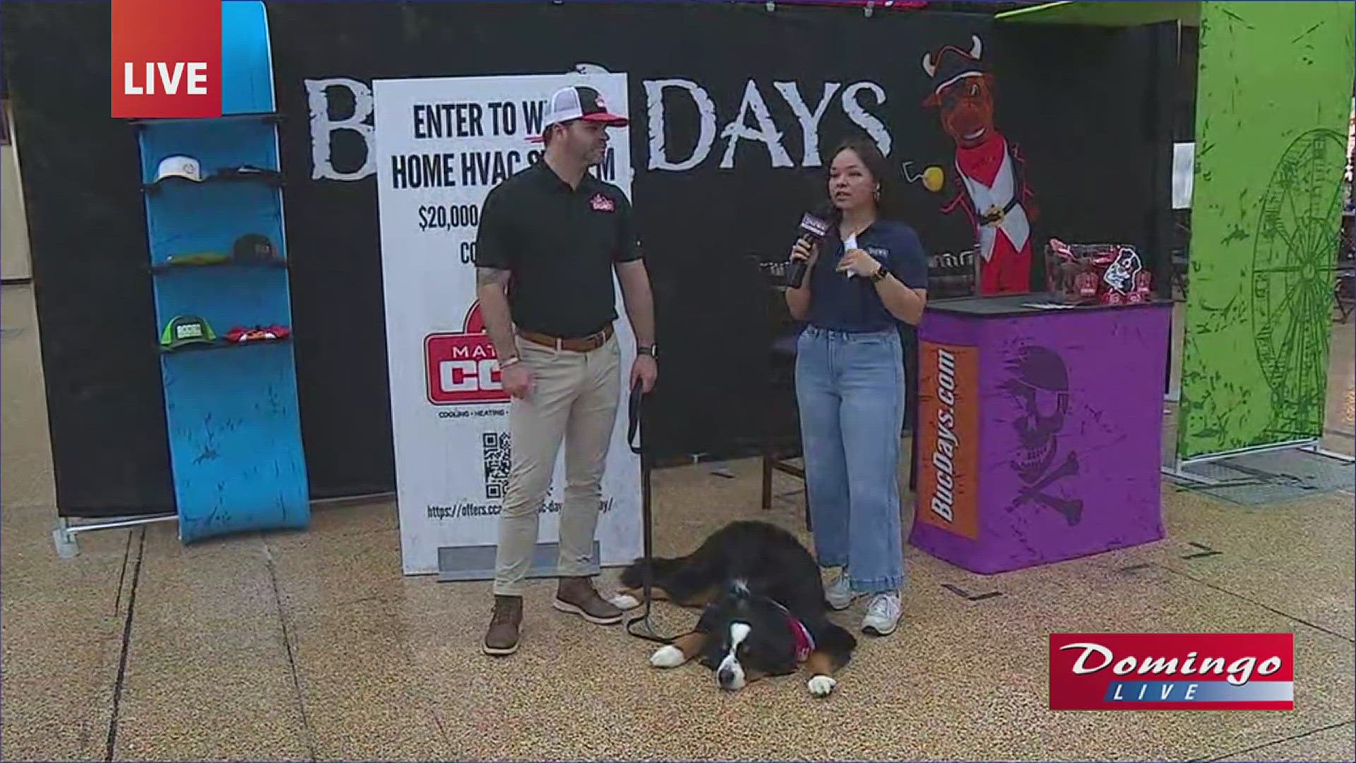 Madeline Salinas tells us how we can enter to win a free home HVAC system at the Buc Days info booth on Domingo Live.
