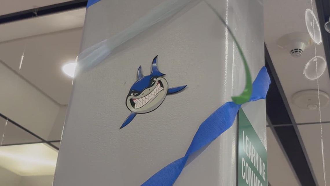 Shark Week underway at TAMU-CC