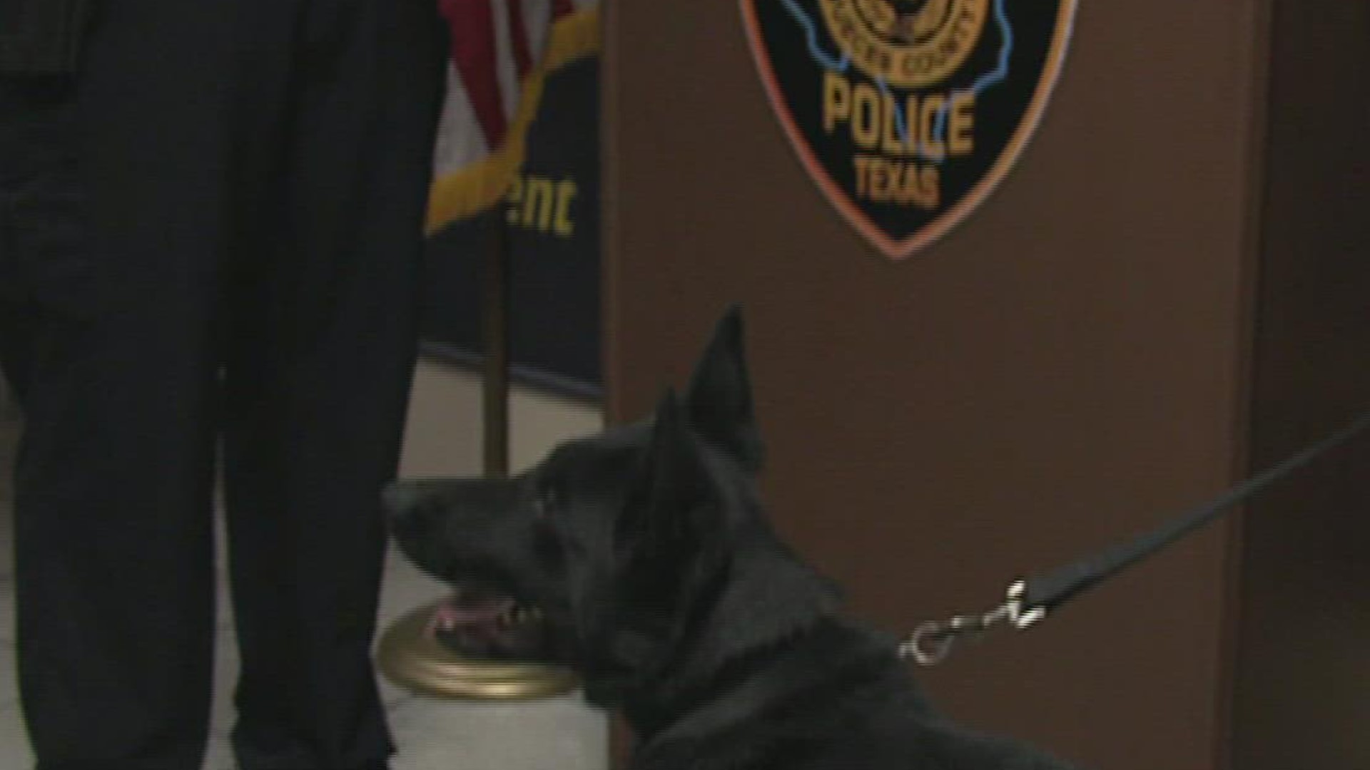 The K9 officer was bought using the drug asset forfeiture funds.