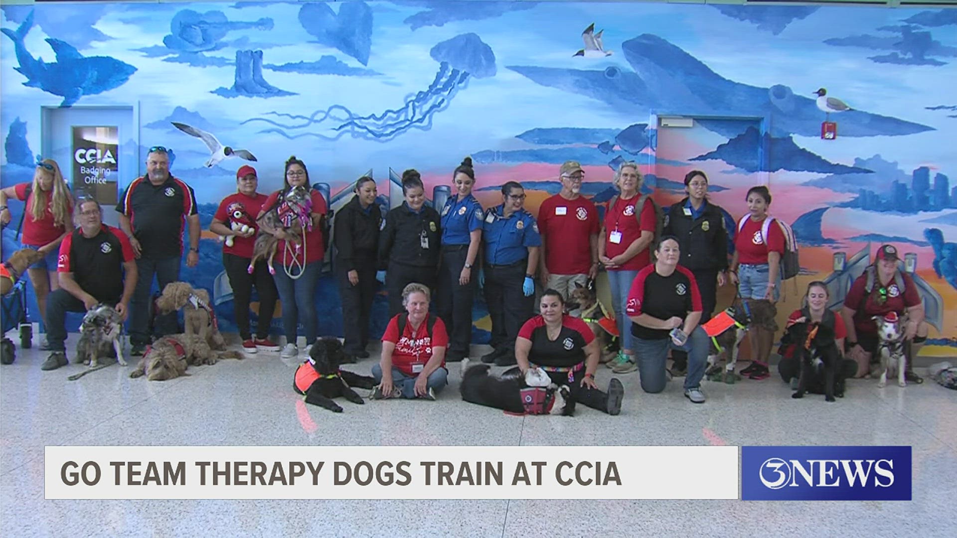Once trained, the airport therapy dogs will provide theraputical support to anyone who might be having a delayed flight... or even just a long day.