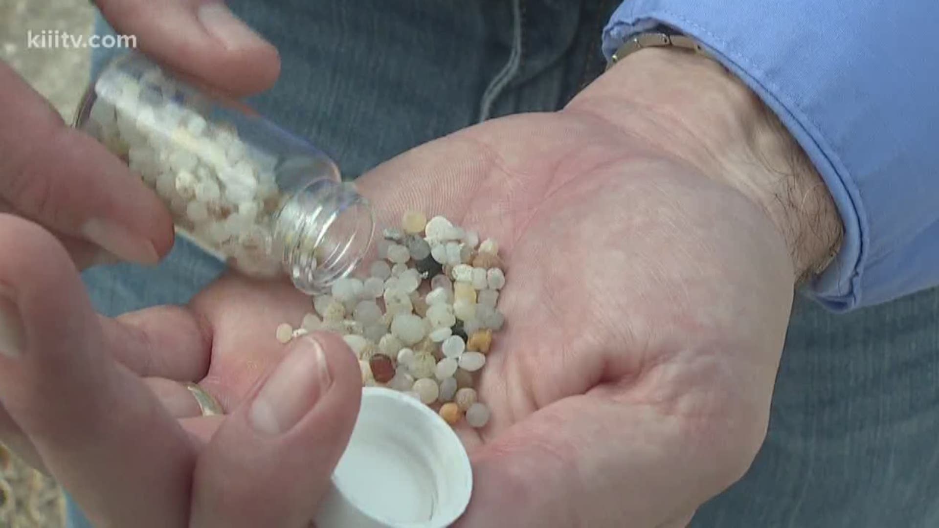 Small plastic pellets have been known to wash up along Coastal Bend beaches and can be harmful and deadly for wildlife.