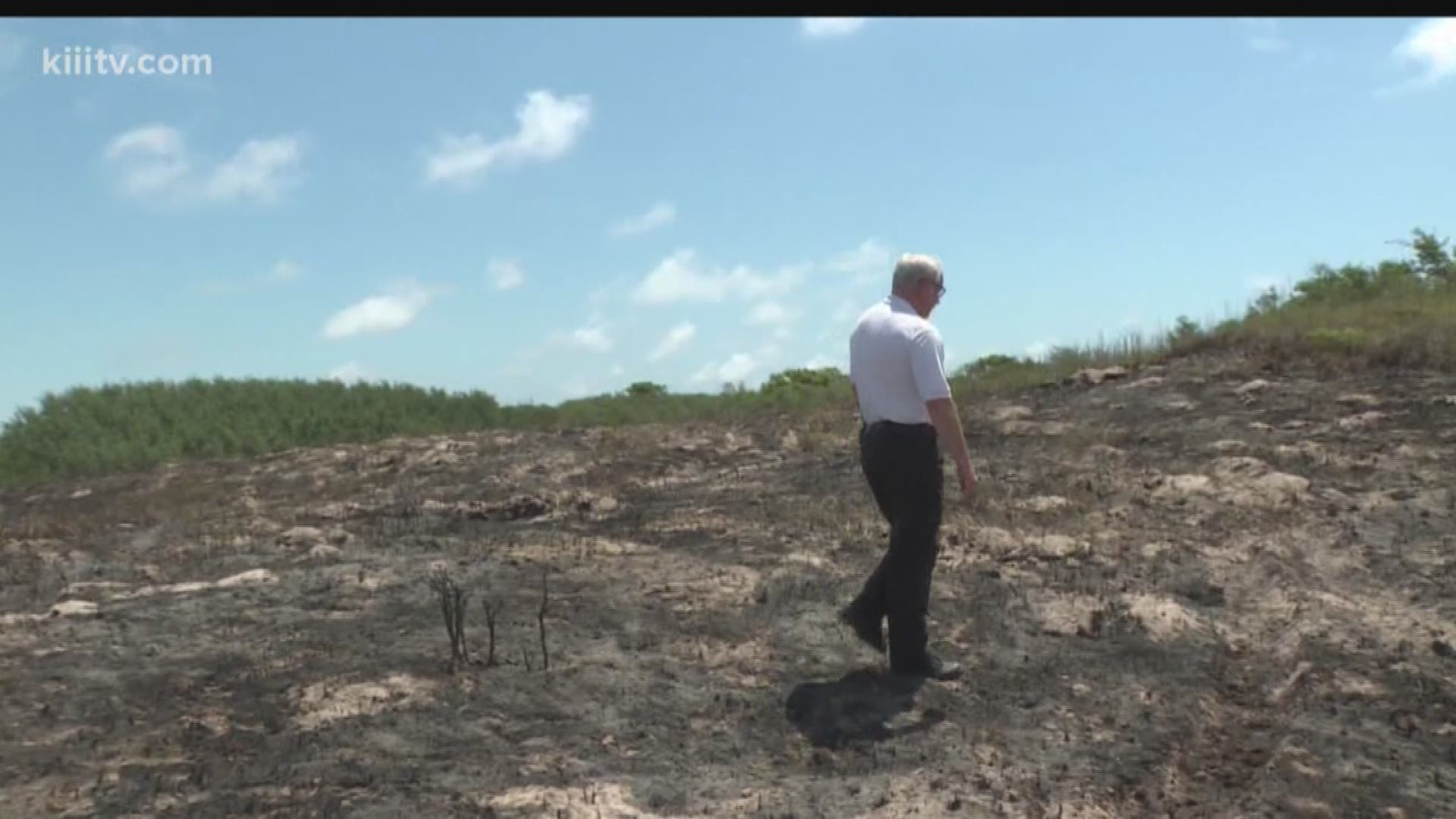 Brush Fire on the Island