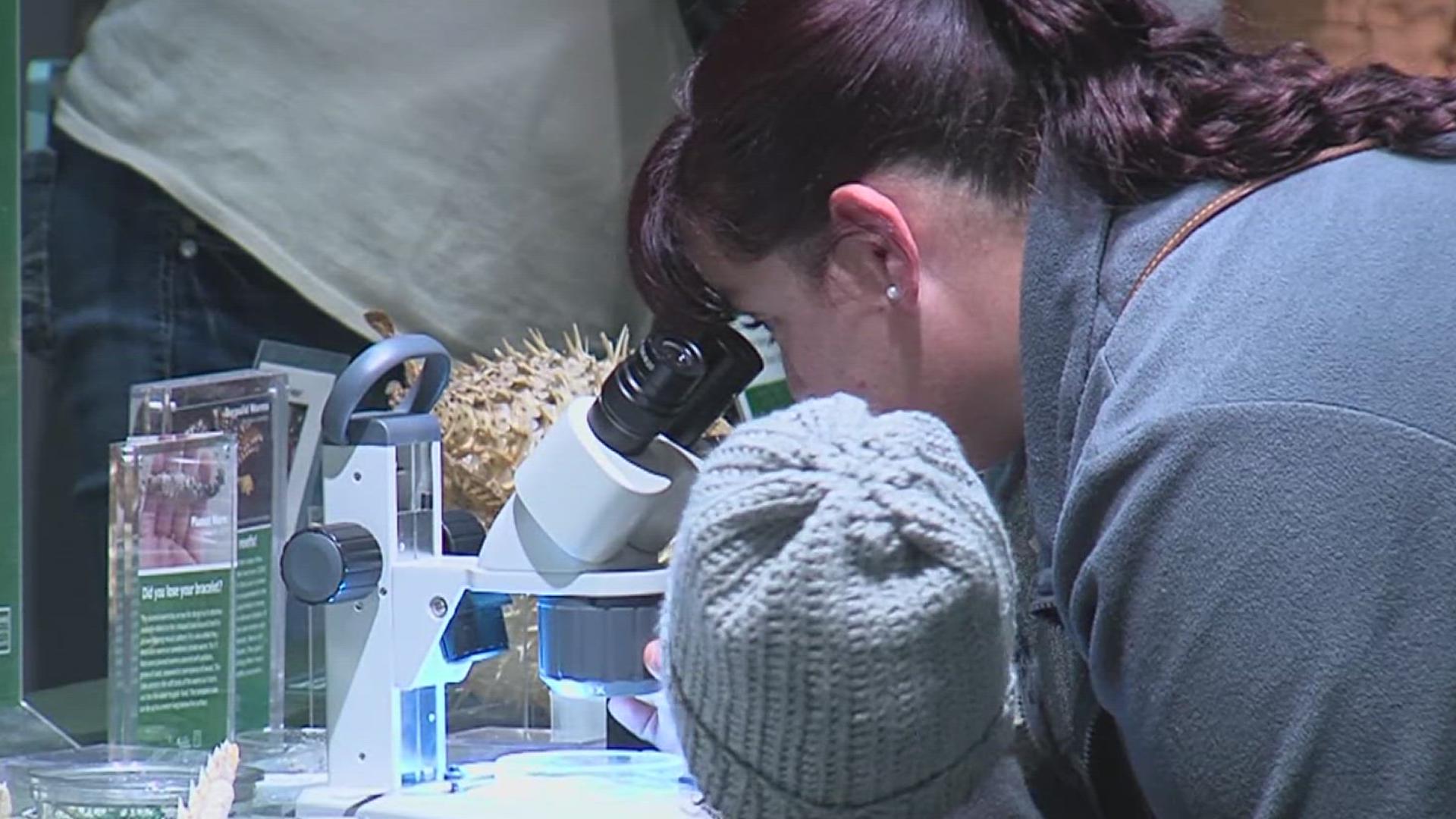 'Seas the Day' family event at the Museum of Science and History ...
