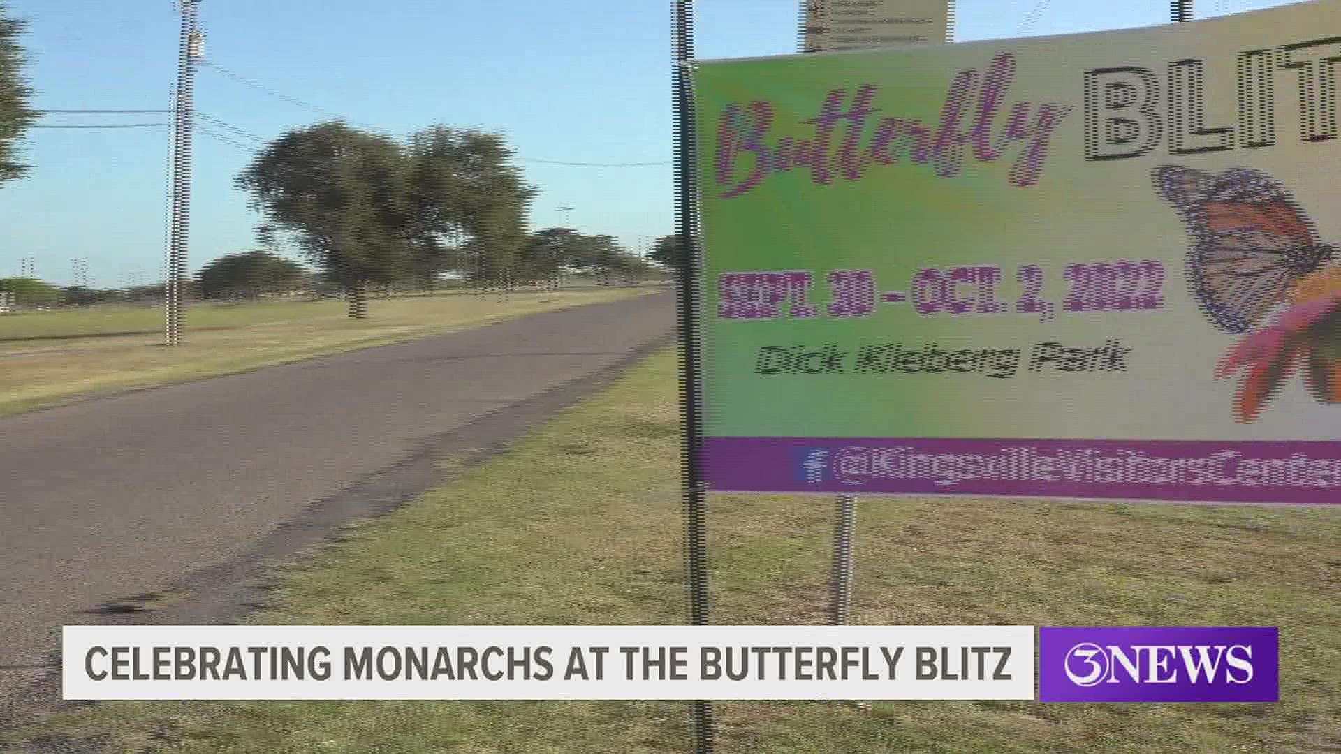 The Butterfly Blitz helps track Monarchs, which are an endangered species.
