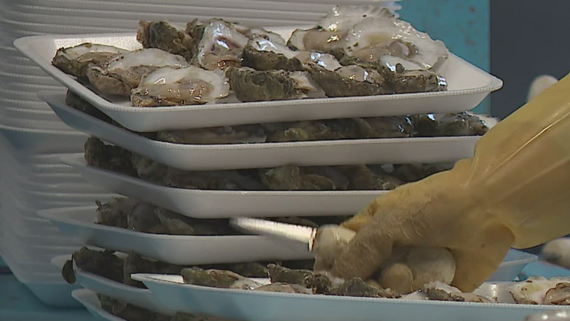 With help from the Harte Research Institute, event organizers plan to recycle the shells, rebuilding oyster reefs.