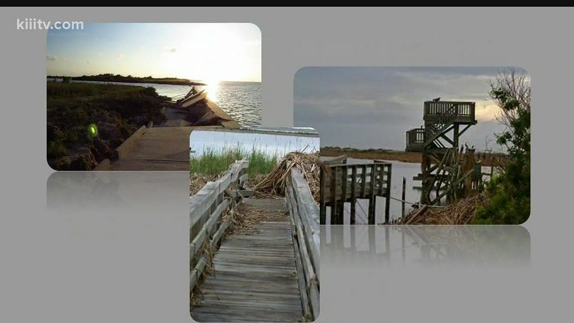 The Port Aransas Nature Preserve is seeing big improvements after Hurricane Harvey reaped havoc to renowned birding sites in Port Aransas.