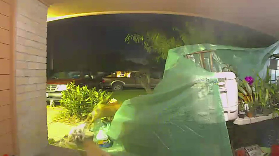 Flour Bluff sees multiple aggressive dog attacks