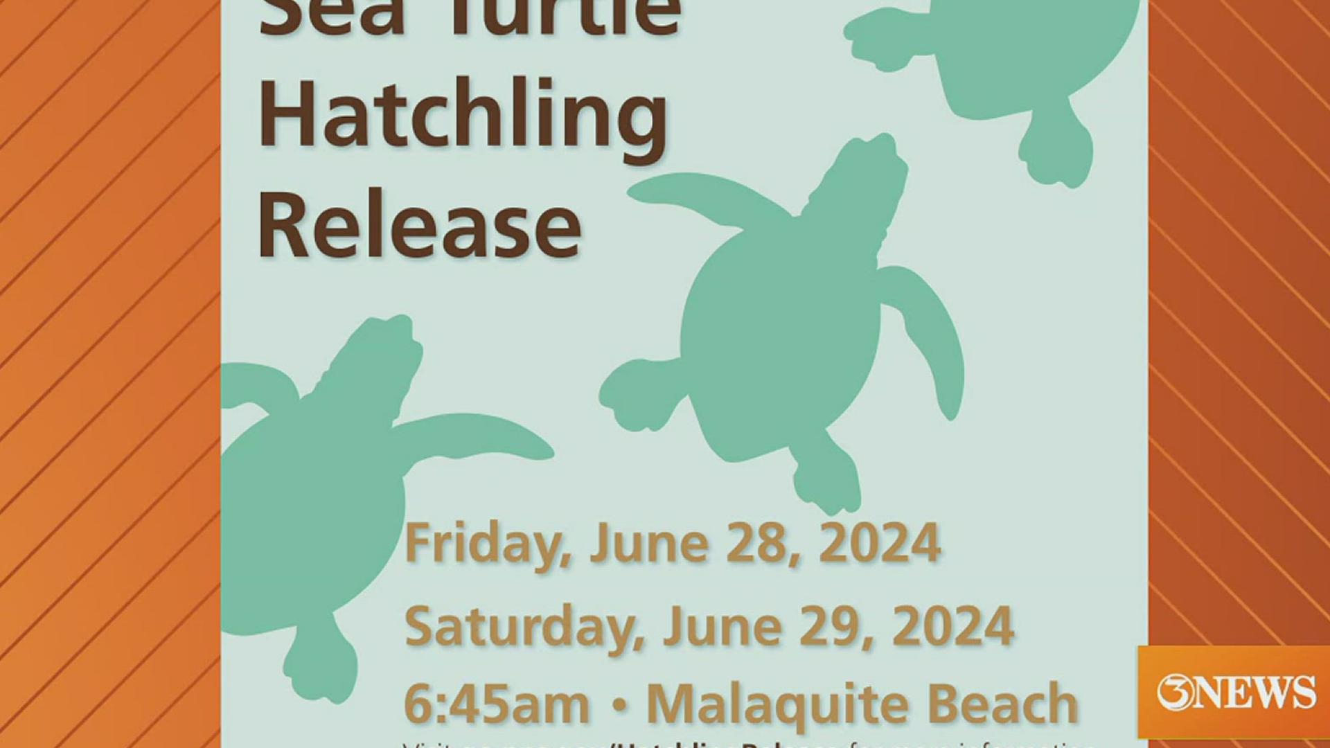 Both releases will be over on Malaquite Beach.