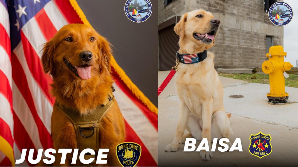 Police, Fire department Dogs get shout out from Corpus Christi