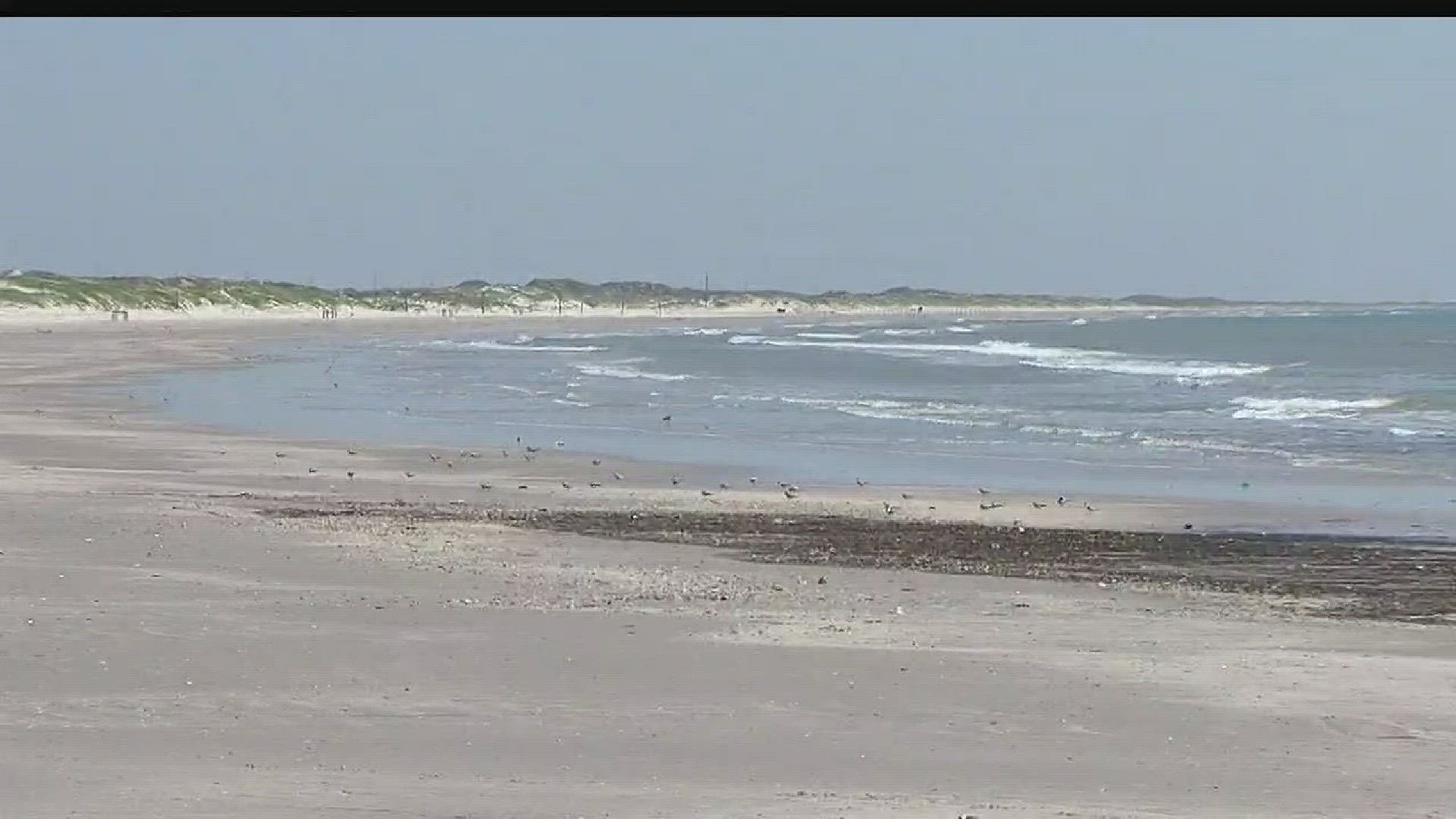 The beaches are back open in Corpus Christi, and quite a few made their way out there Wednesday. Some even went surfing.