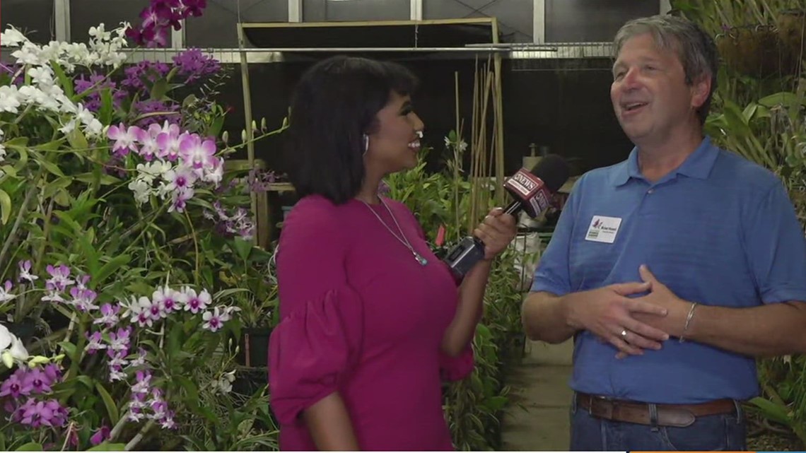 South TX Botanical Gardens celebrates 'Moonlight in the Gardens' - Vimarsana News