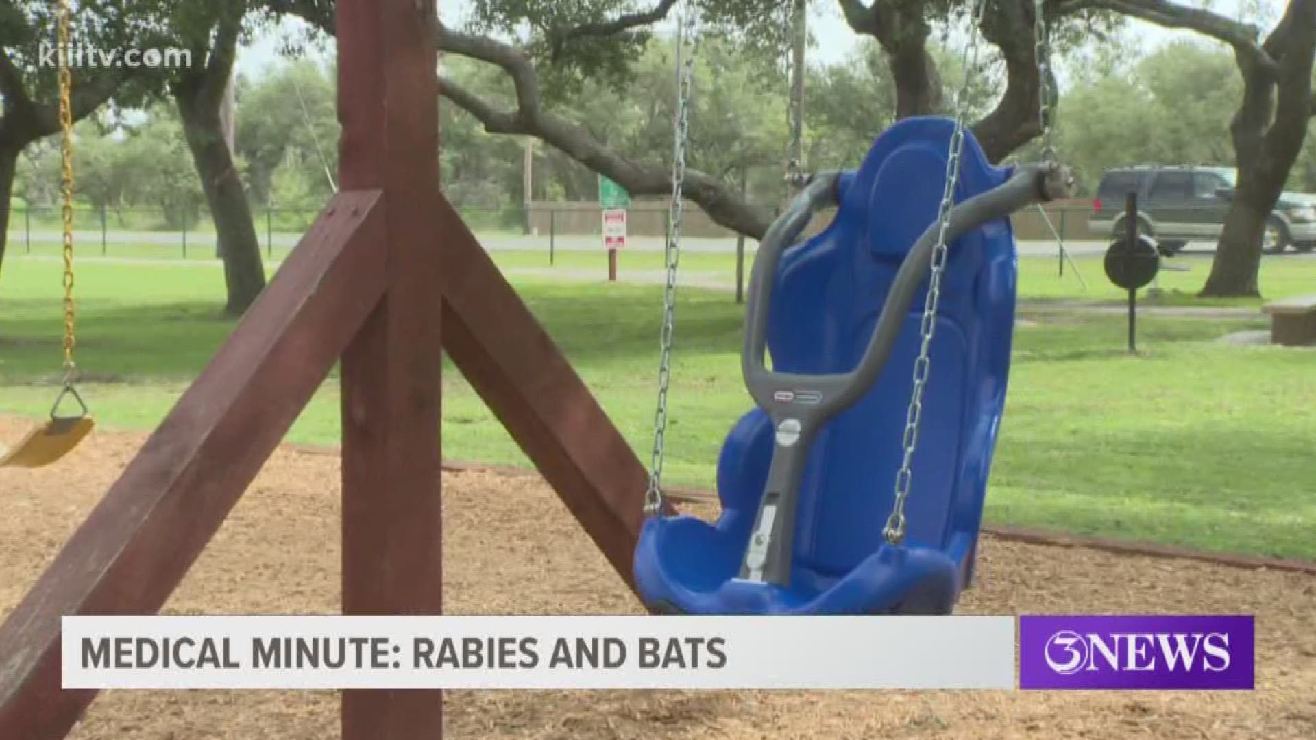 The special swing makes it possible for kids with disabilities to enjoy the park along with able bodied friends.