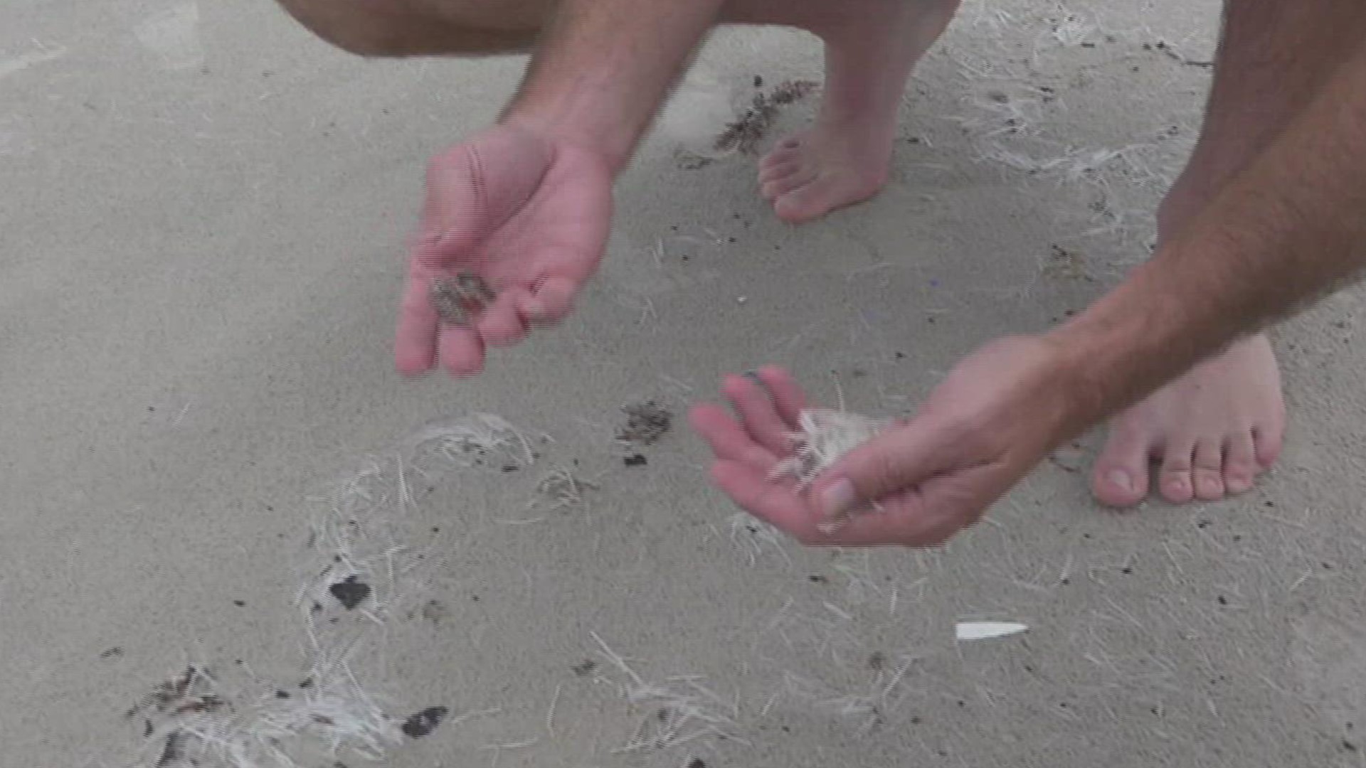 Beachgoers say the substance looked like small white pieces that appeared to be debris or even shredded plastic.