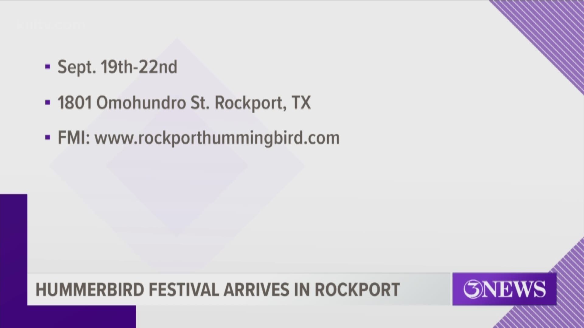 31st annual Rockport Hummingbird Festival runs through Sunday