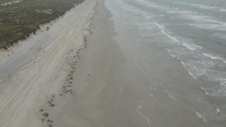 Heavy machinery, maintenance raising concerns for ecology of Coastal Bend beaches