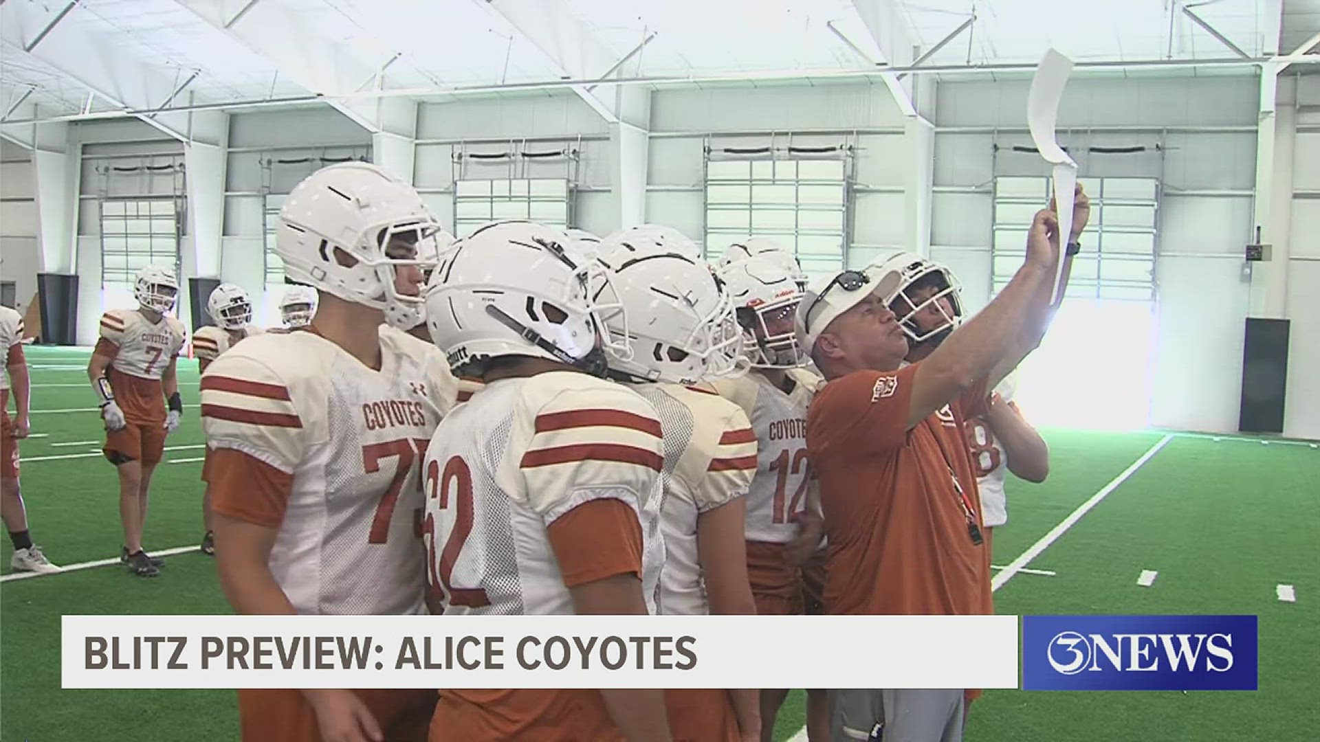 Blitz Preview Alice Coyotes