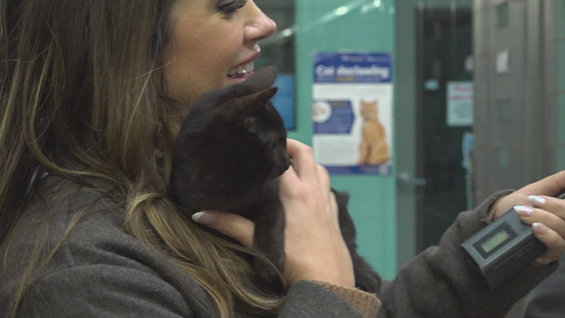 We had our hands full this morning with these cuddly kittens at the Gulf Coast Humane Society! You can adopt one of your own at the Humane Society!