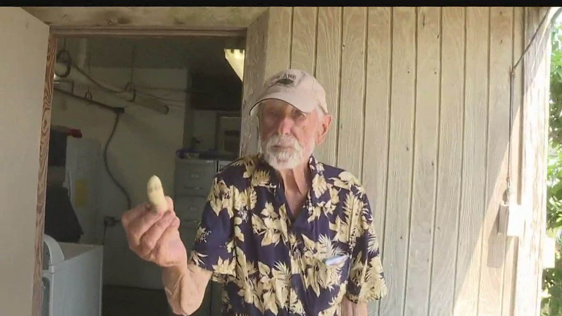 In this week's Island Report, Island Moon Publisher Dale Rankin goes back to visit with Tony Amos at the Animal Rescue Keep, known as the ARK in Port Aransas.