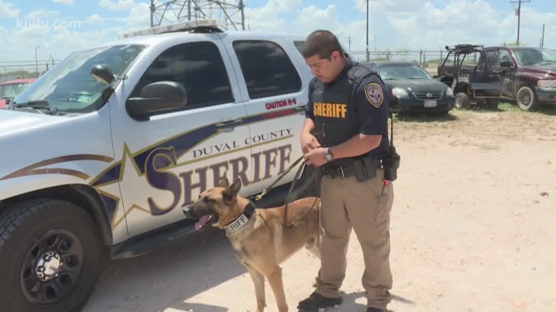 Wyatt Ranches donates 150,000 to Duval County Sheriff's Office