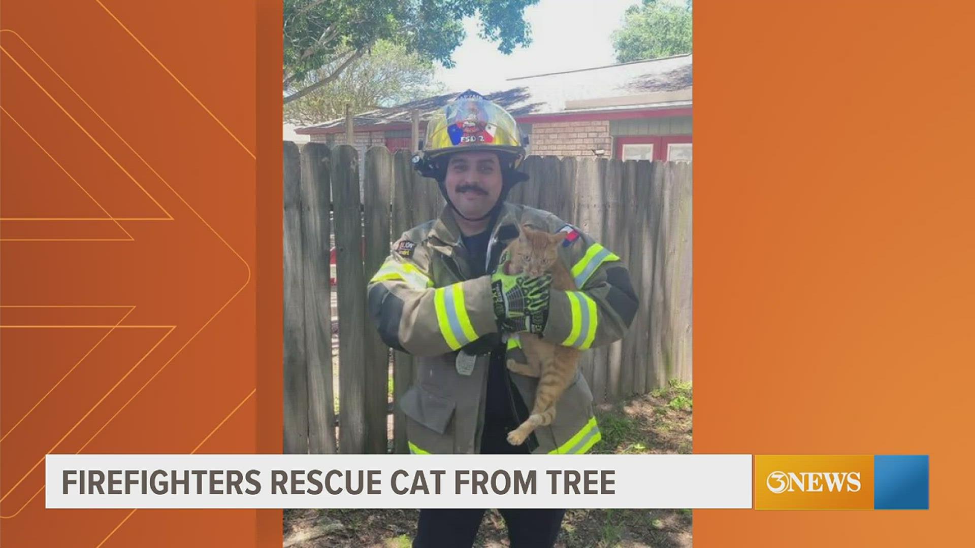 Two cats were brought down safely by the volunteer firefighters.
