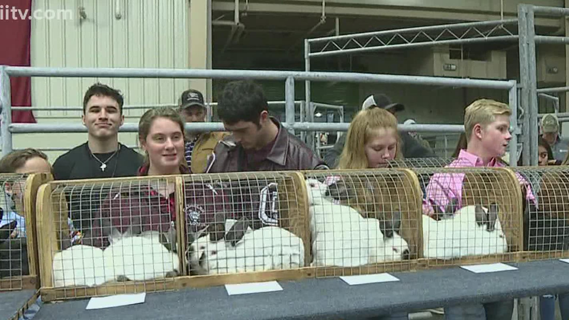 Interview with organizer Julia Gilliam of the Nuco Junior Livestock All Star Show.