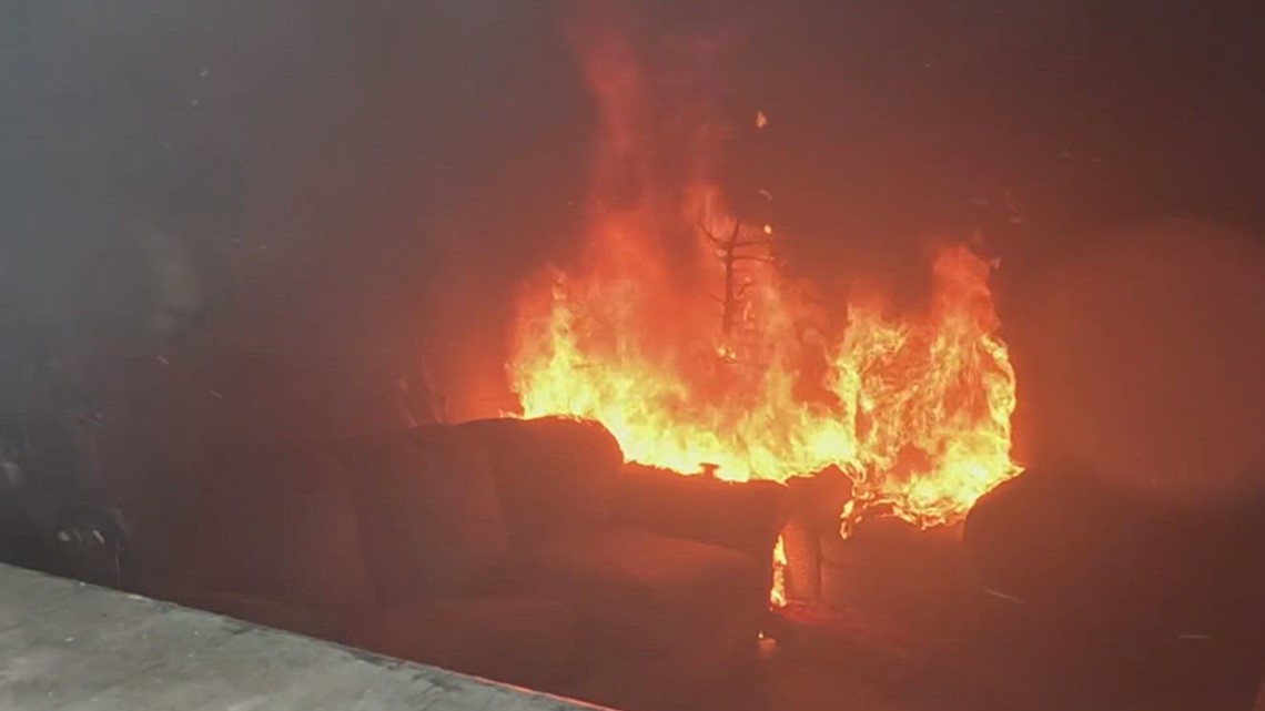 Corpus Christi Fire Department hosts tree safety demo to prevent holiday fires - Vimarsana News