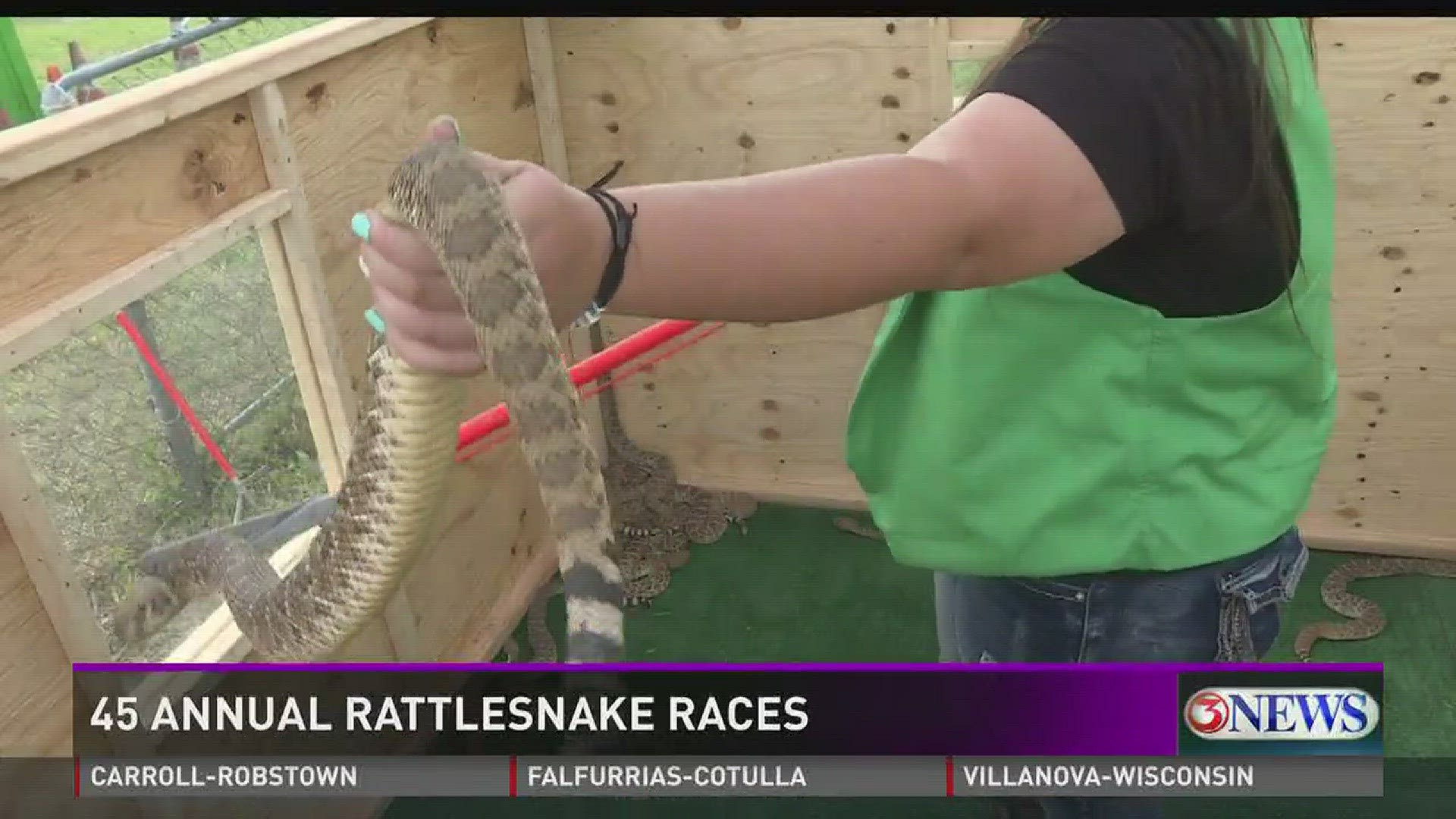 World Championship Rattlesnake Races Photosnull