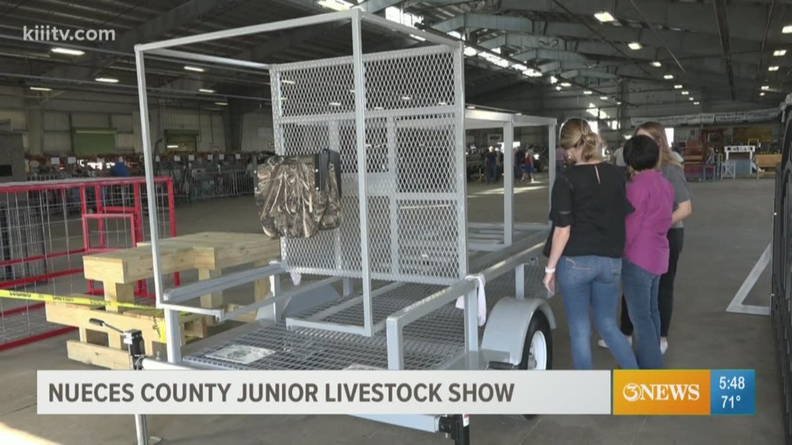 The very word "livestock" refers to animals -- cows, pigs, rabbits -- but there's a whole lot more to the Nueces County Junior Livestock Show!