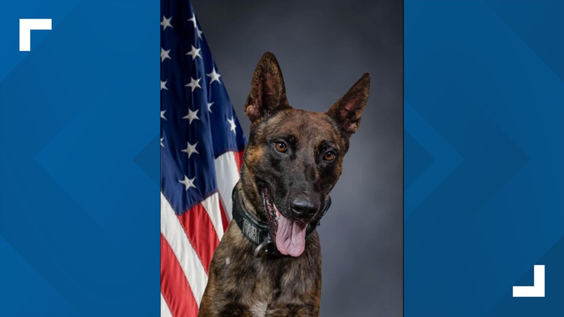 Beeville PD honors fallen K-9 - Vimarsana News