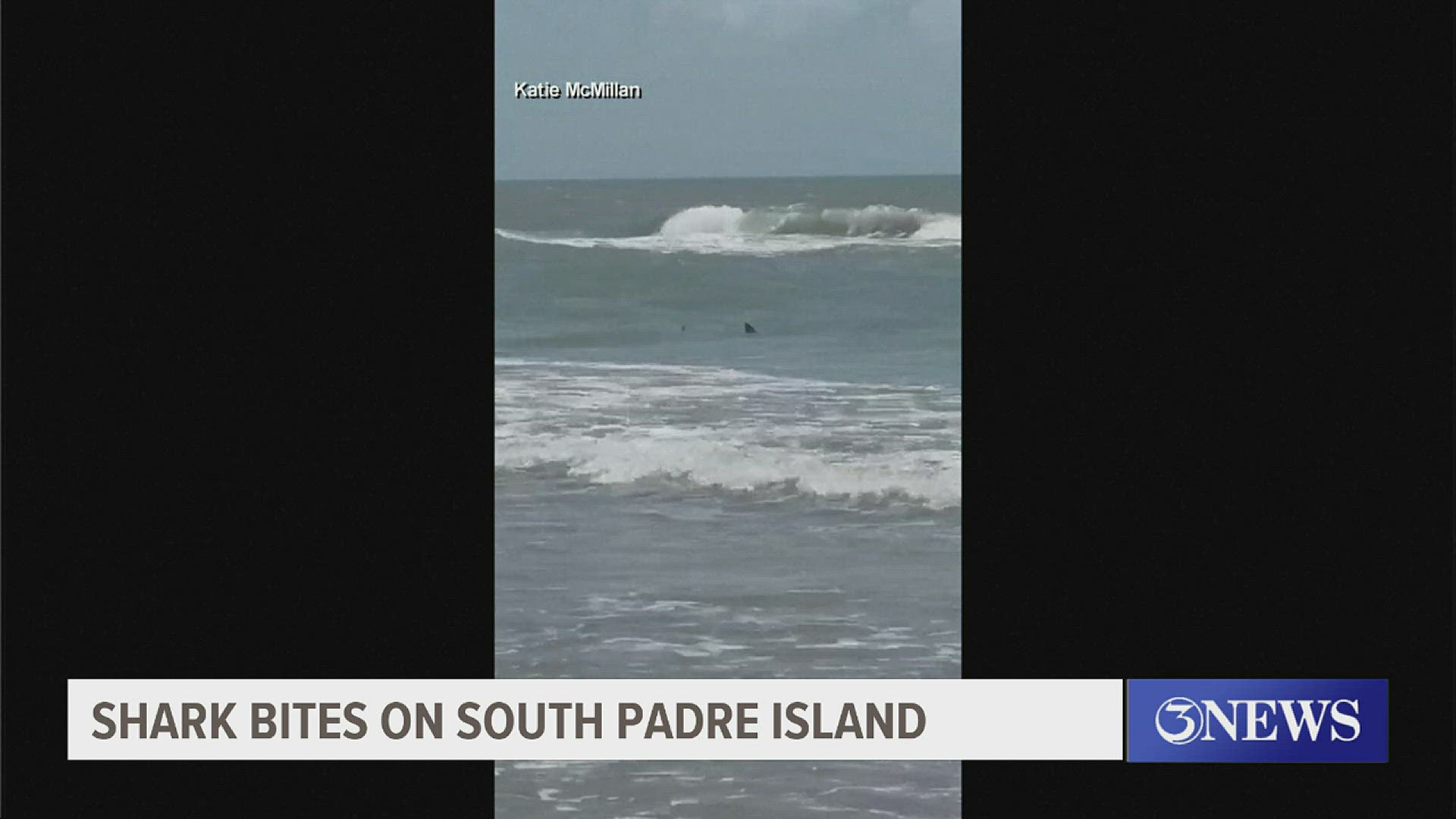 Shark bites on South Padre Island | kiiitv.com